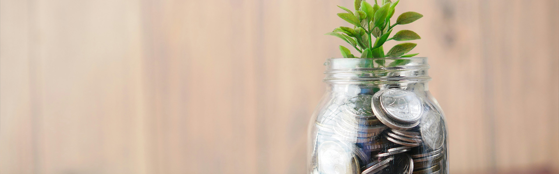 1.Wealth management-1.jpg